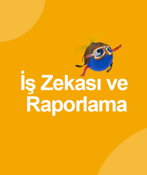 İş Zekası ve Raporlama